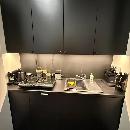 شقة Grand Business Loft Design P-65 وودج
